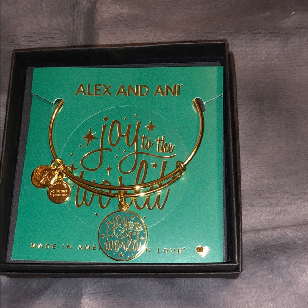 Joy to the world Alex and Ani bracelet